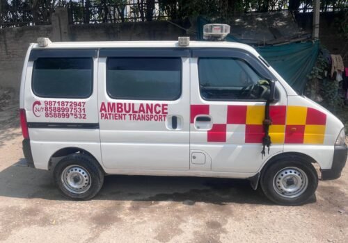 WhatsApp Image 2025-07-09 at 16.39.46