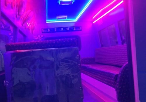 WhatsApp Image 2025-07-09 at 16.39.47